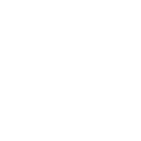 VERITACE GUARANTEE