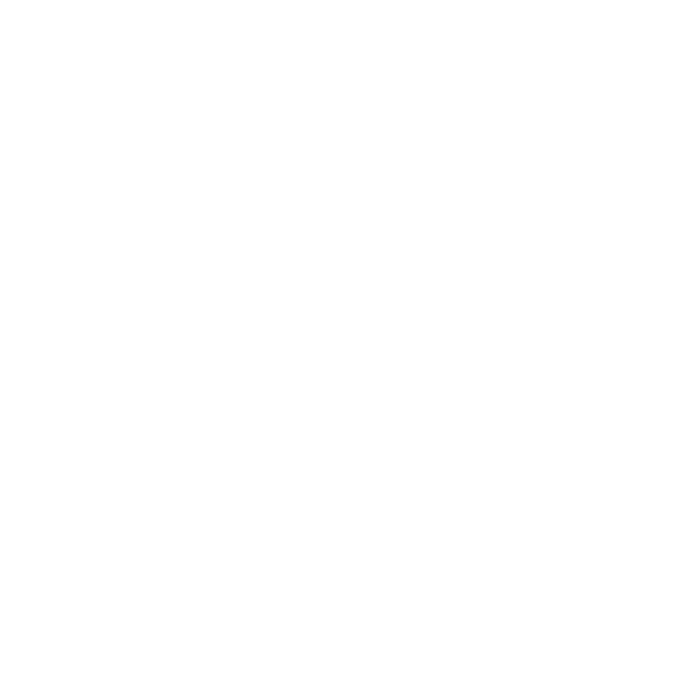 THE FLOW SPACE