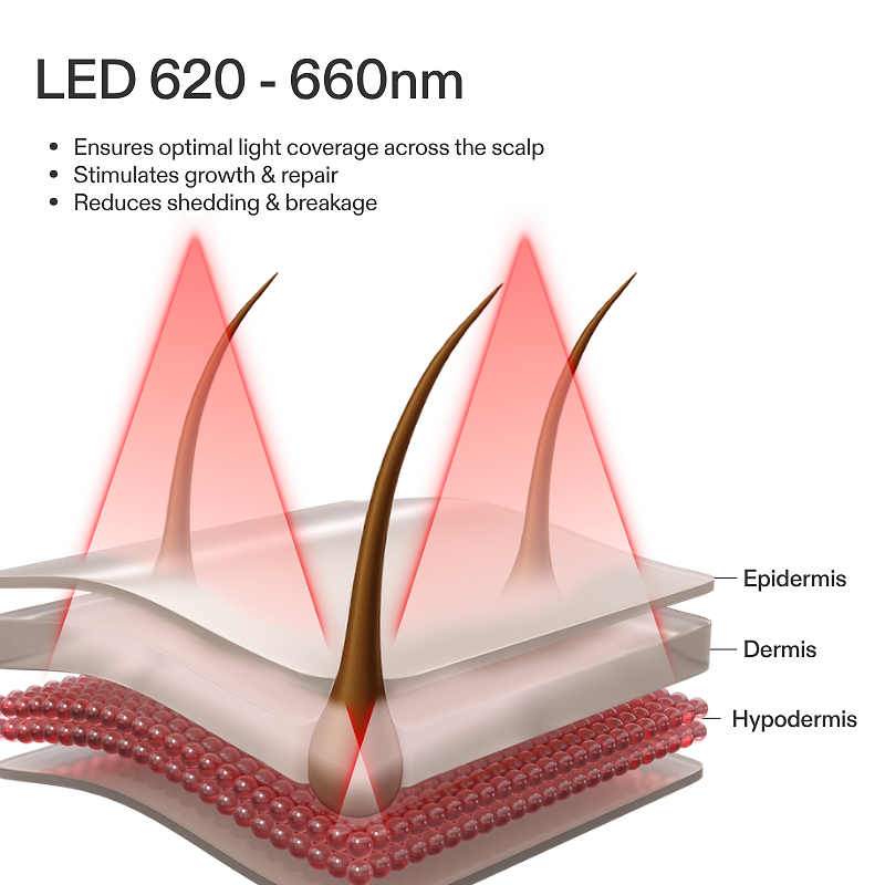 Diagram showing wavelengths of CurrentBody LED Hair Growth Helmet and their effects on scalp layers
