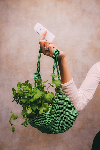 plant green ripple⁺