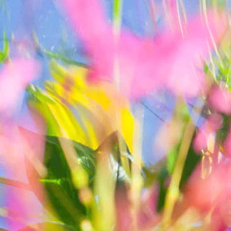 web_pink_flowers How to resist nicotine cravings when quitting smoking - Ripple+