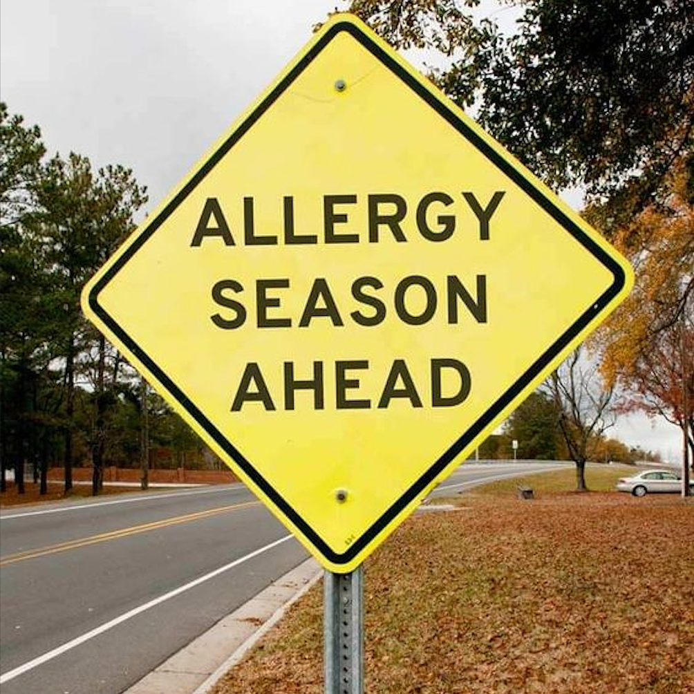 How Essential Oils Can Soothe Your Pollen Allergies: Unveiling the Power of Aromatherapy