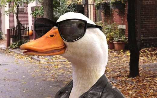 What does sleep deprivation do to you - Ripple