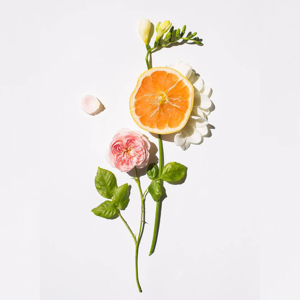 flower and fruit ikebana - What is Aromatherapy - Ripple+