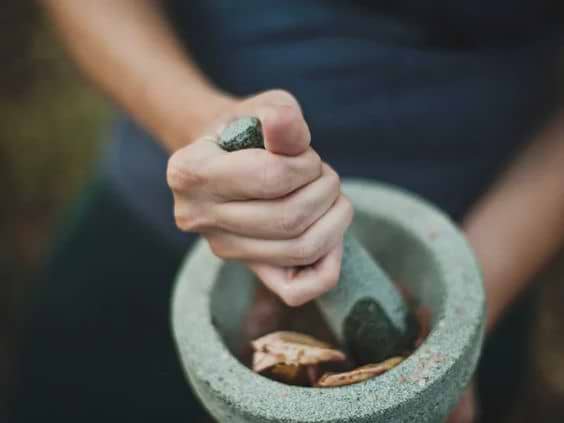 Discover The Benefits of Ginseng: How Can Ginseng Boost Your Wellness