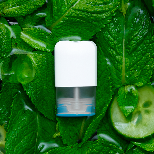 peppermint aroma
