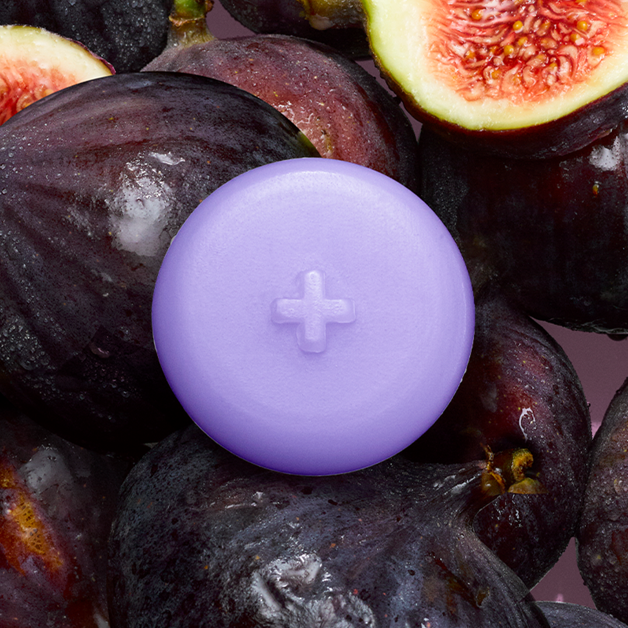 FIG LEAF MELTS image 1