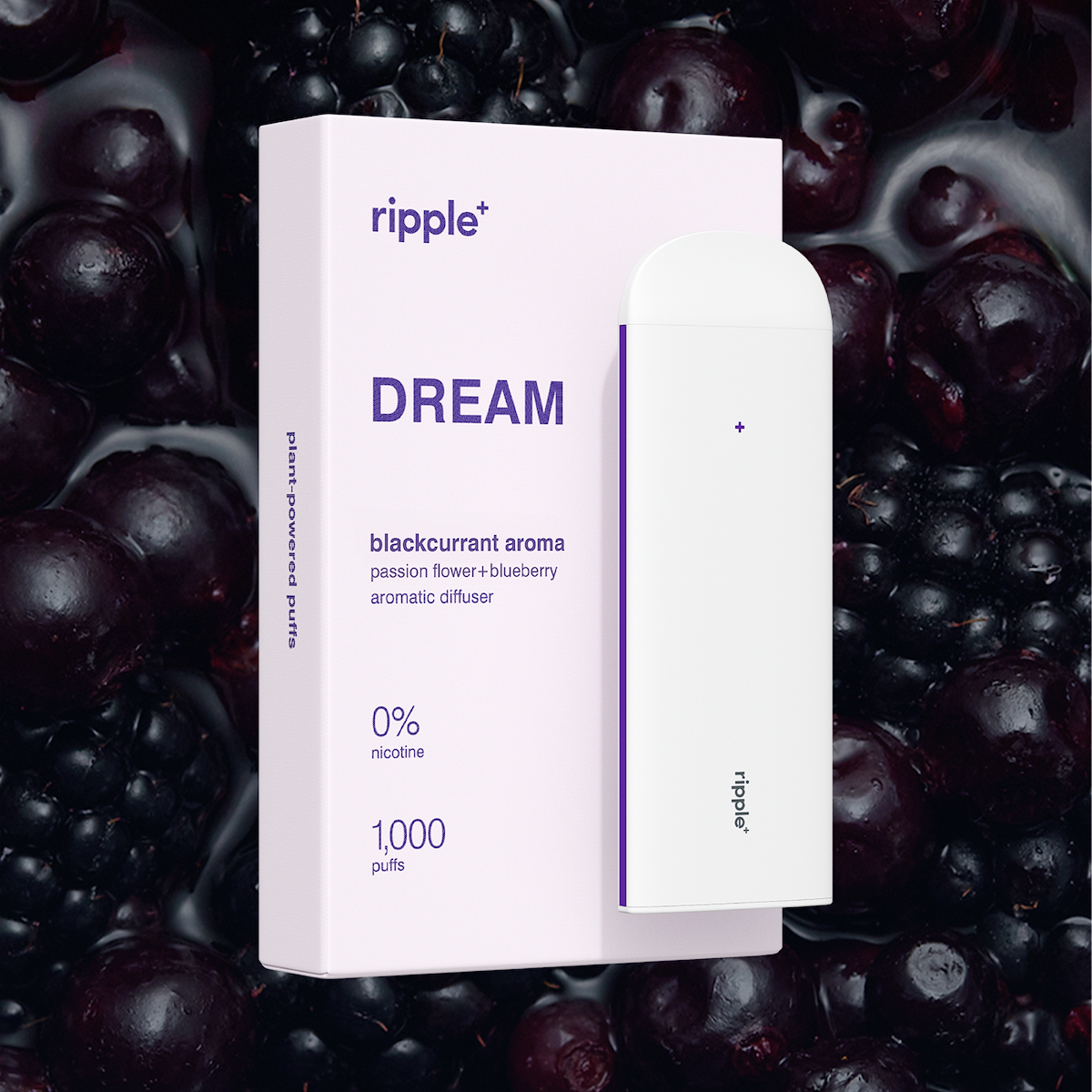 DREAM | Blackcurrant Aroma Diffuser