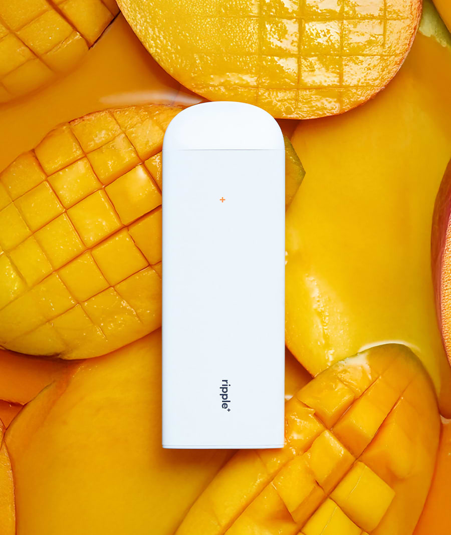 Lung Diffuser Vape FOCUS | Mango Aroma Diffuser Can You Put CBD or THC Oil in Lung Diffuser Vape FOCUS | Mango Aroma Diffuser Can You Put CBD or THC Oil in
