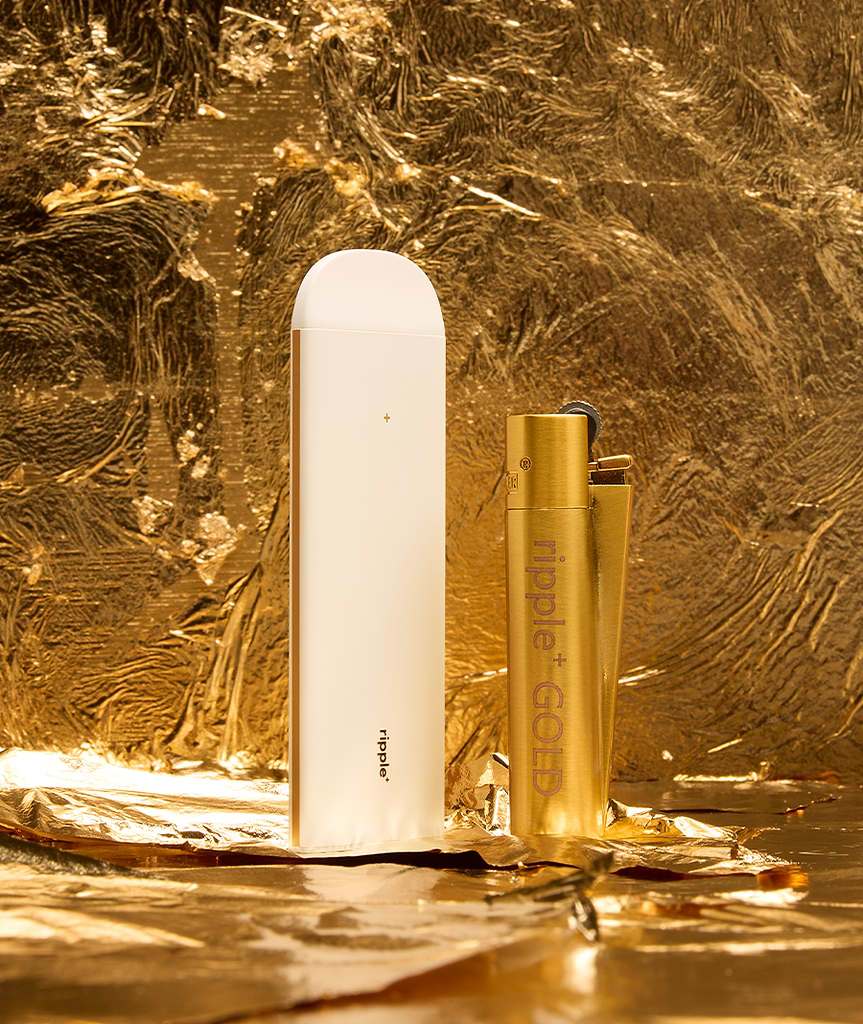 vivienne westwood cigarette necklace Vivienne Westwood Cigarette Holder and Vivi Lighter Collection vivienne westwood cigarette necklace Vivienne Westwood Cigarette Holder and Vivi Lighter Collection