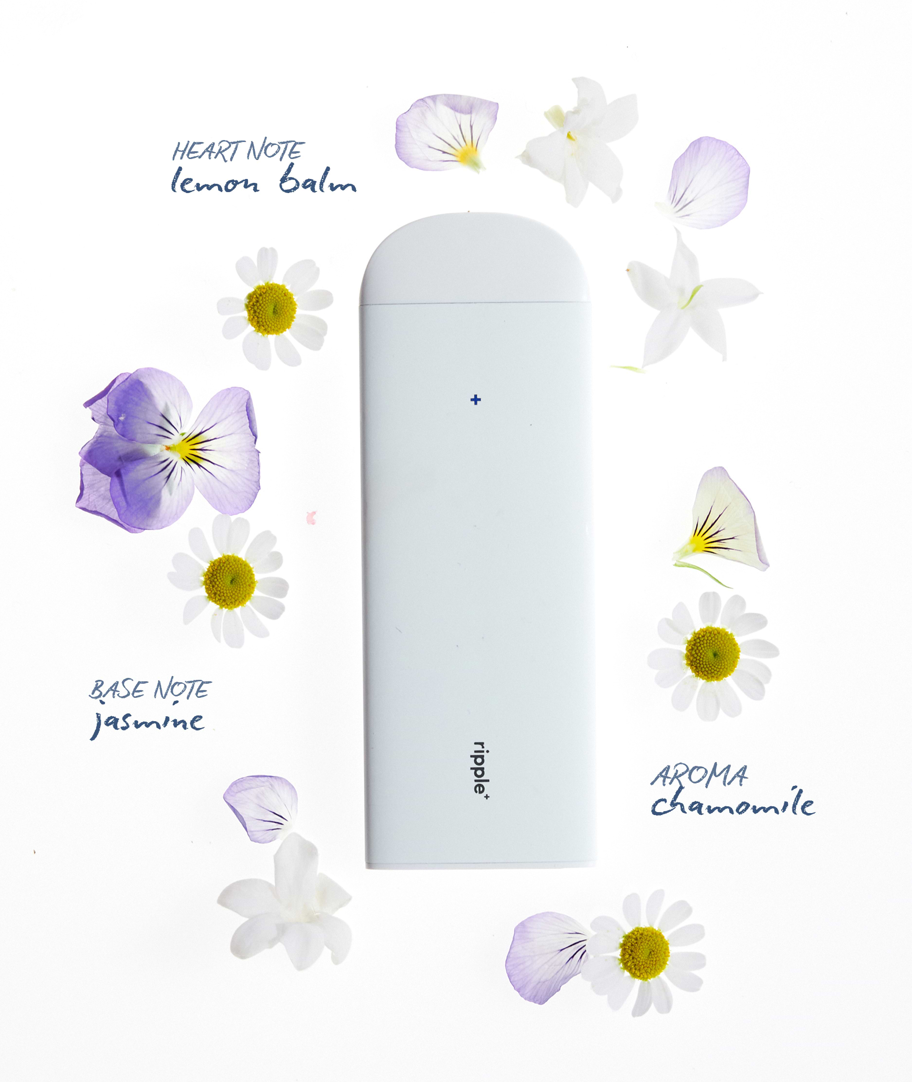 Calming Vape Anxiety Pen: Does It Really Work? Here's What to Know First Calming Vape Anxiety Pen: Does It Really Work? Here's What to Know First