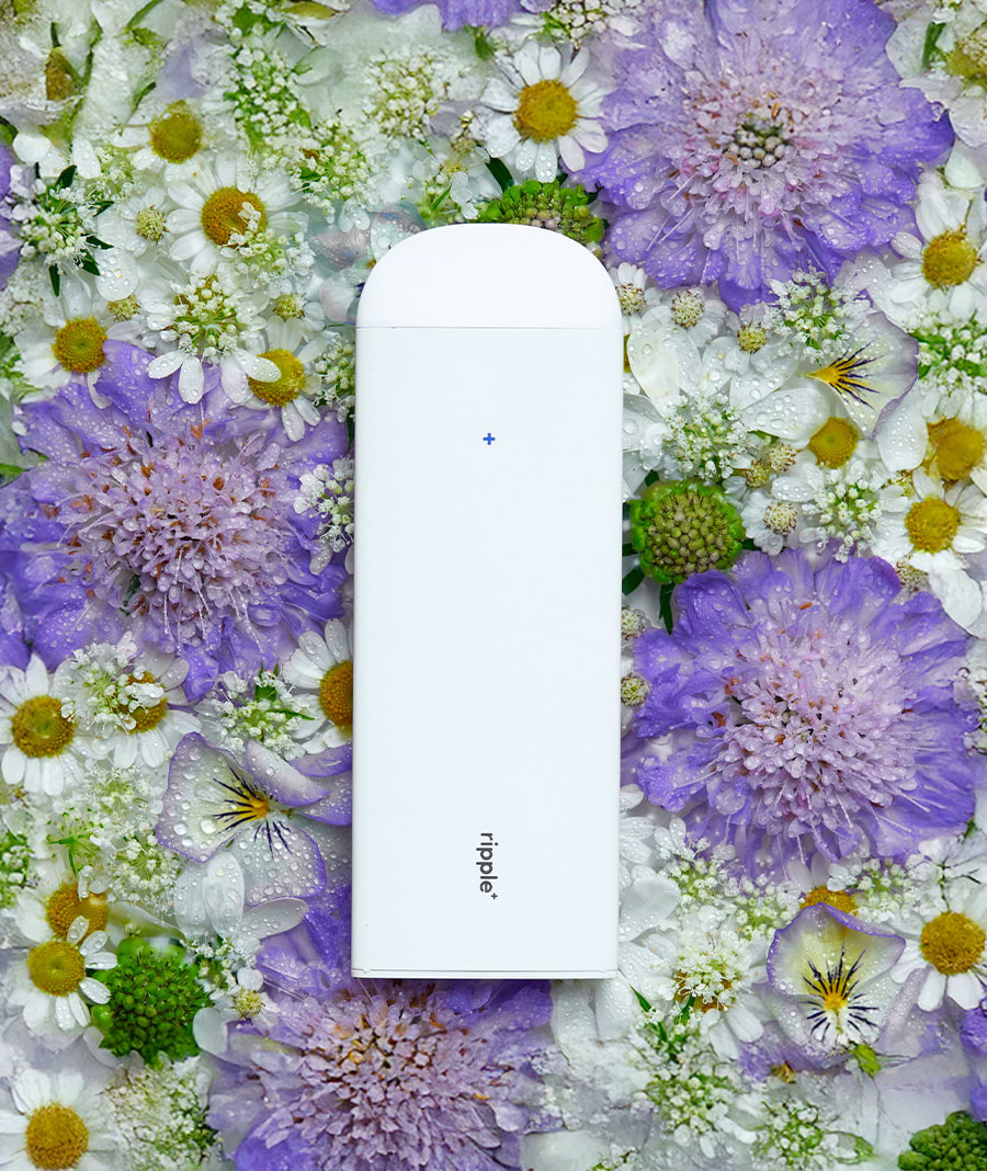 RELAX | Chamomile Aroma Diffuser | Nicotine Free RELAX | Chamomile Aroma Diffuser | Nicotine Free