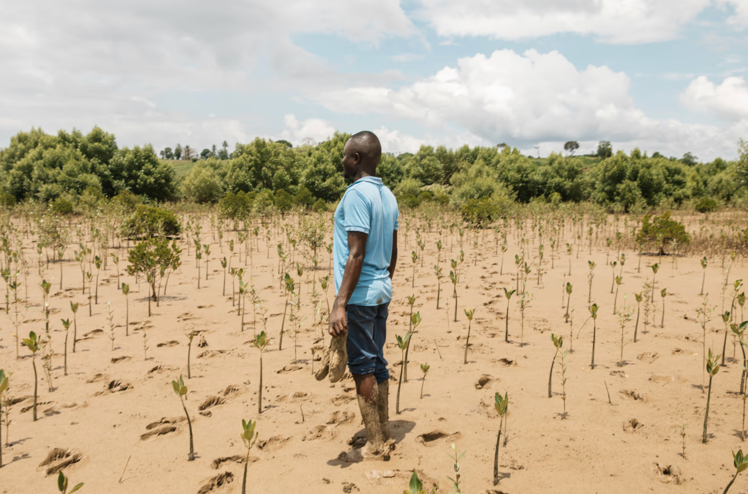 Our Impact: Staying True to Our Roots