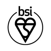 BSI Logo