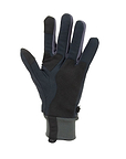 Waterproof All Weather Lightweight Glove with Fusion Control™ - Sealskinz EU