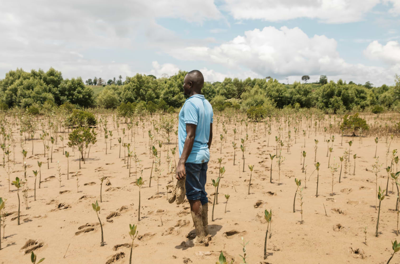 Our Impact: Staying True to Our Roots