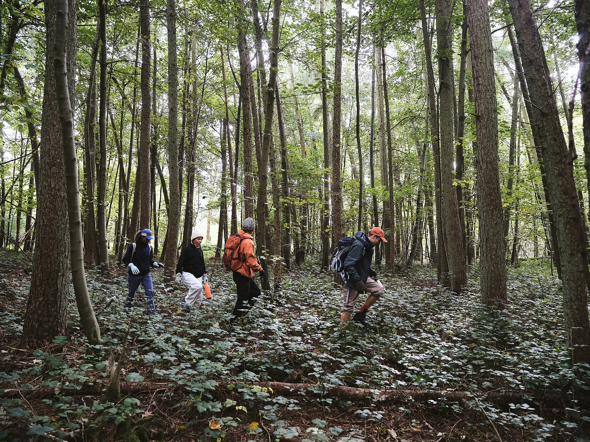 Sealskinz New Beginnings 2024 - The Lookbook