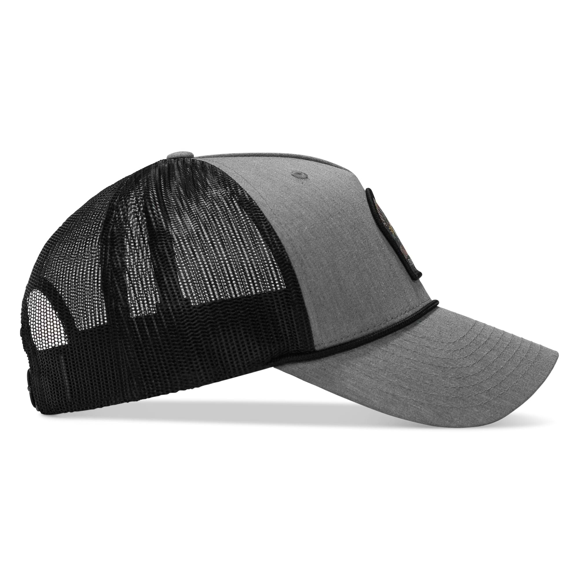 #color_gray-black