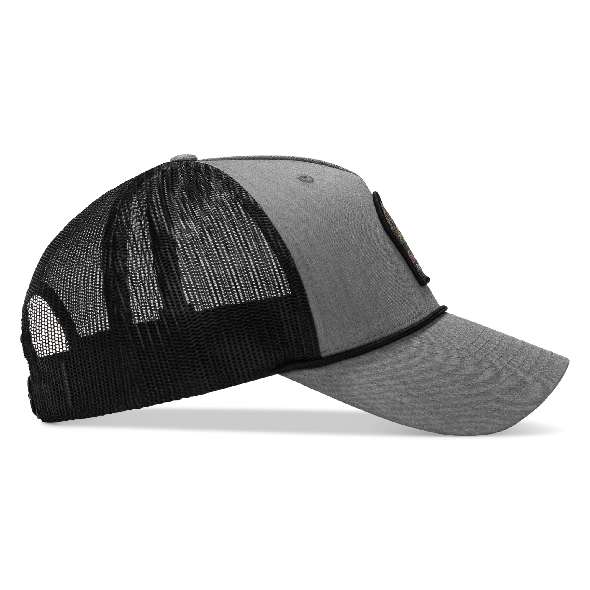 #color_gray-black