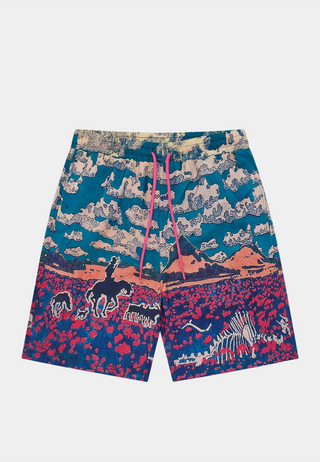 BBC Cloud World Swim Shorts - Multi