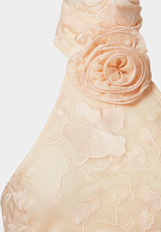 JW Pei Uliana Floral Lace Halterneck Maxi Dress Pink