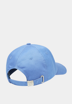 Arch Logo Curved Visor Cap - Powder Blue