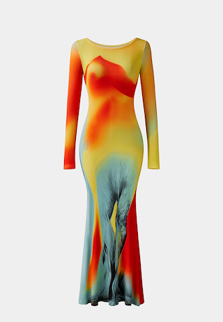 JW Pei Lily Illusion Print Mesh Dress Multicolor