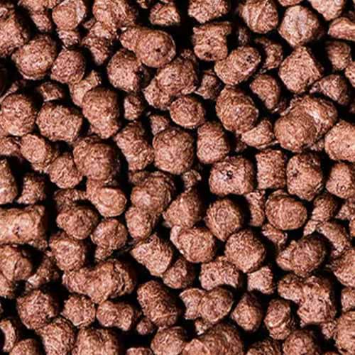Soy Crispies with Cocoa - 58% Protein, 1.1 lb