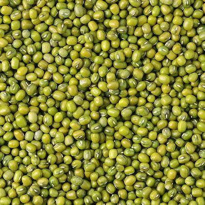 Organic Mung Beans