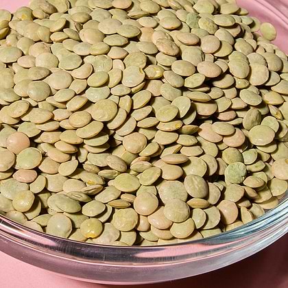 Organic Green Lentils, 35 oz (2.2 lb) 1kg