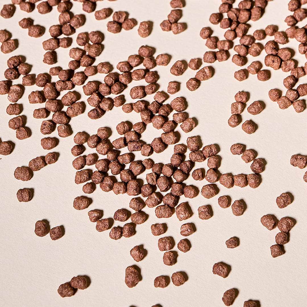 Soy Protein Crispies with Cocoa - 58% Protein
