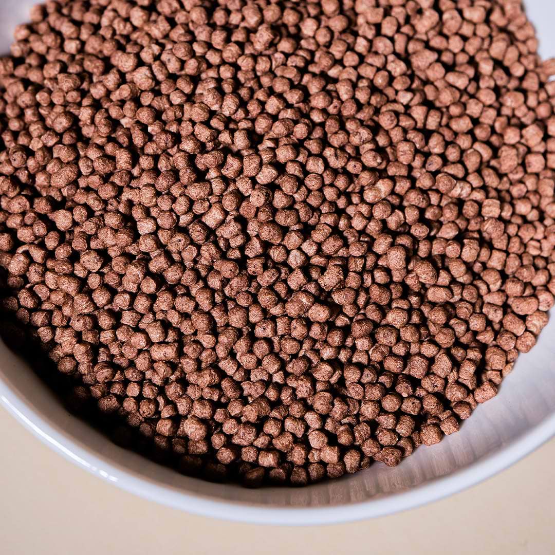 Soy Protein Crispies with Cocoa - 58% Protein