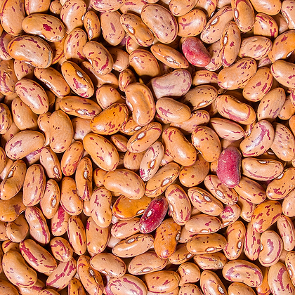 Organic pinto beans