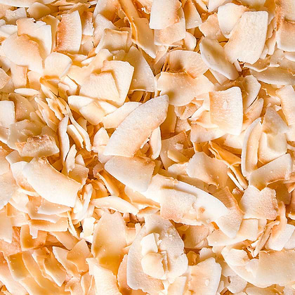 Organic toasted coconut chips