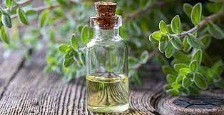 marjoram oil