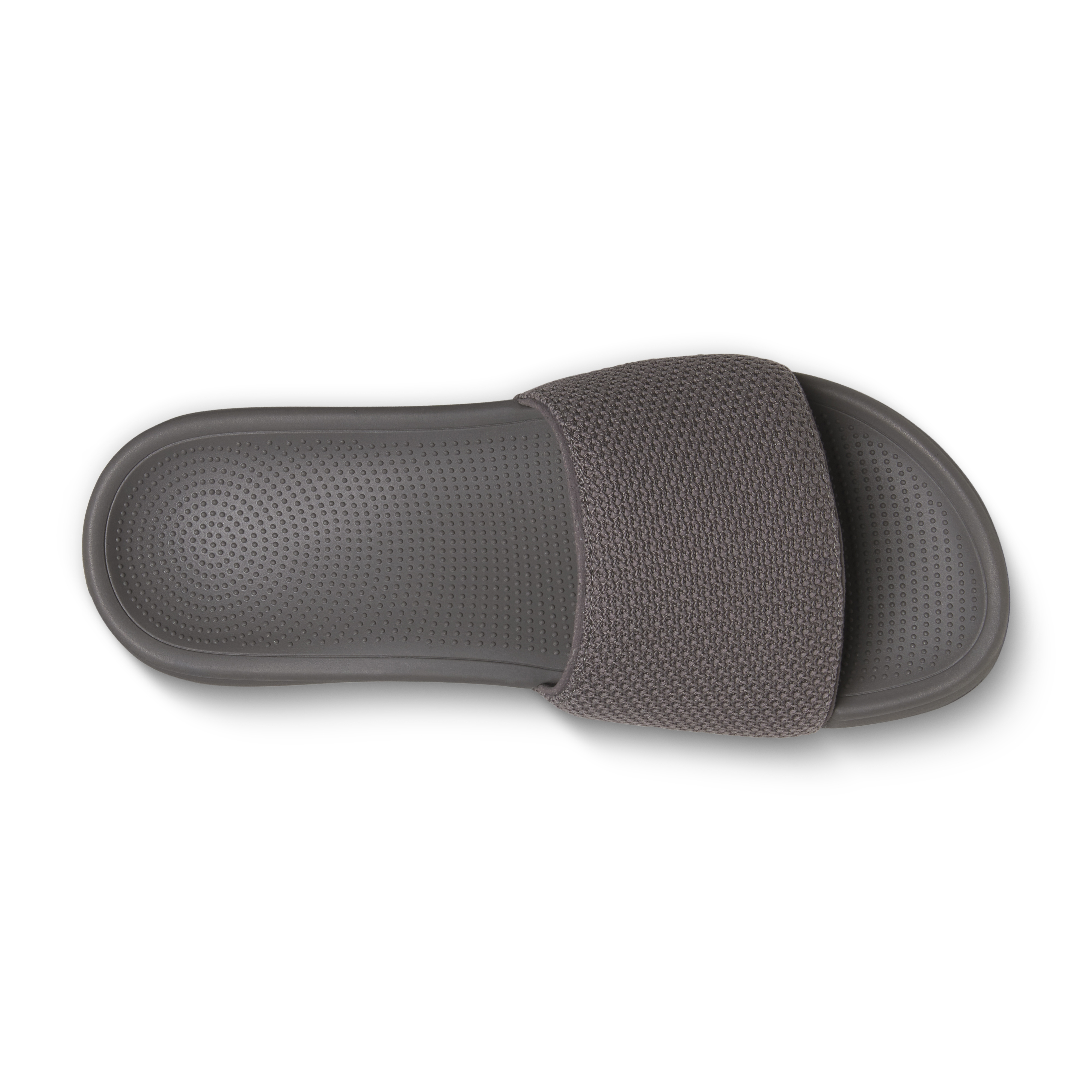 남성 슬라이드 - 앤트러사이트