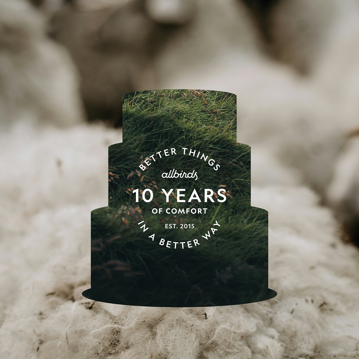 올버즈 10주년 기념 사셰