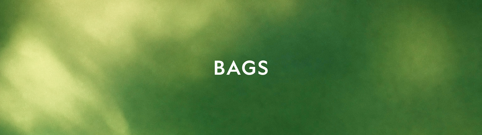 가방 & 캐리