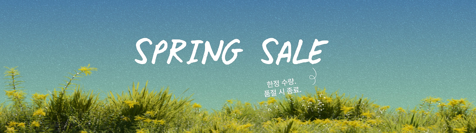 여성 스프링 세일 전제품