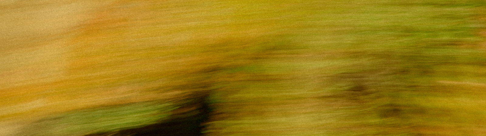 남성 세일 제품