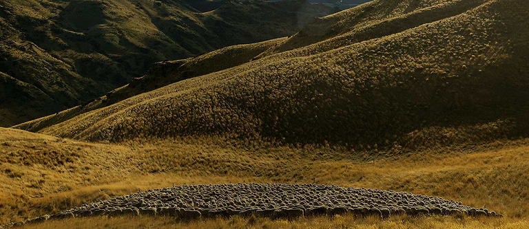 BETTER THINGS IN THE BETTER WAY