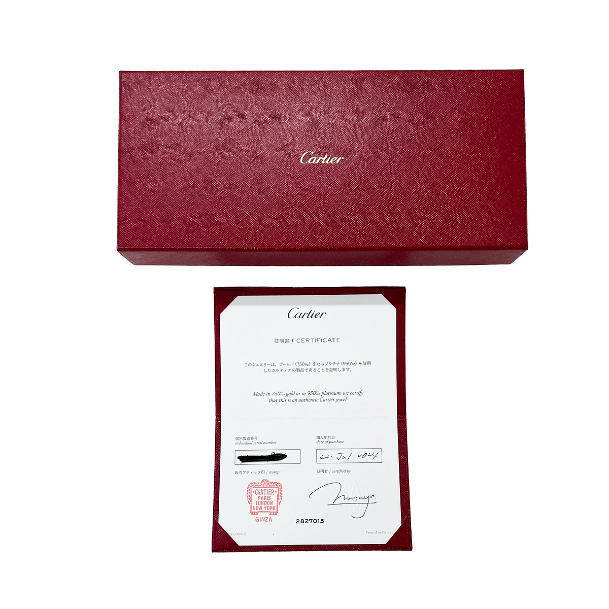 Yellow Gold Medium Model Santos de Cartier Bracelet