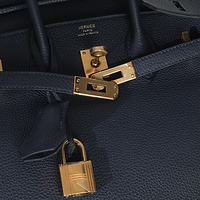 Blue Nuit Togo Birkin 25 GHW