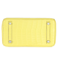 Lime Mississippiensis Matte Alligator Birkin 25 PHW