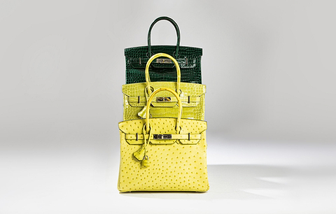 Hermès Exotic Bags & Accessories