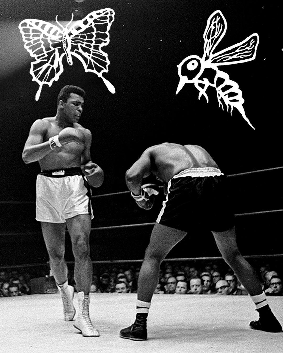 Boxing match with butterfly and bee drawings above the fighters.