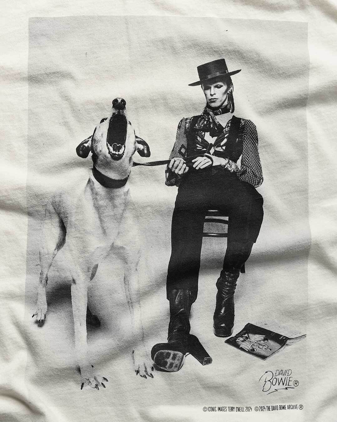 David Bowie Diamond Dogs Photo White Tee - Roots of Fight Canada