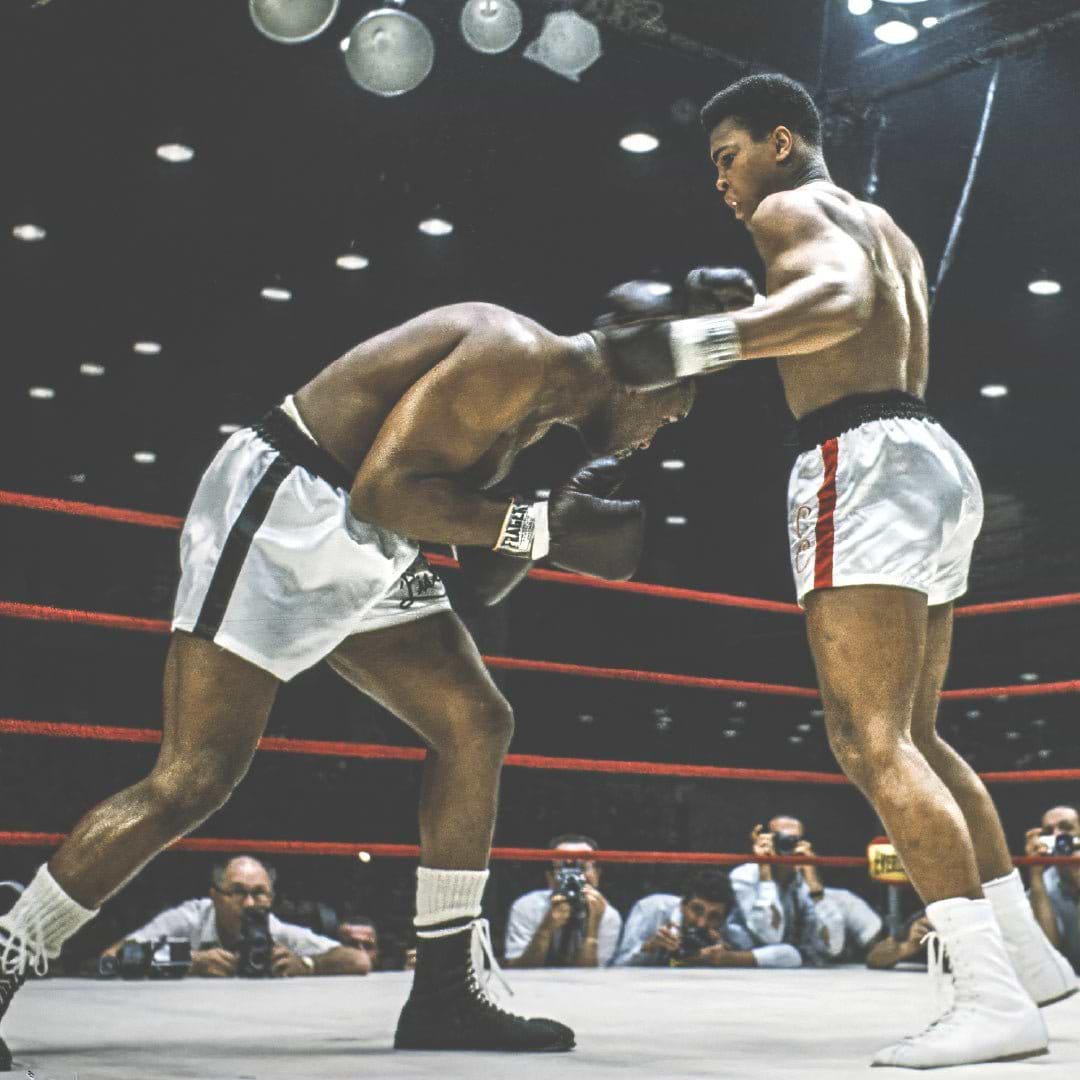 "I SHOOK UP THE WORLD" - Roots of Fight