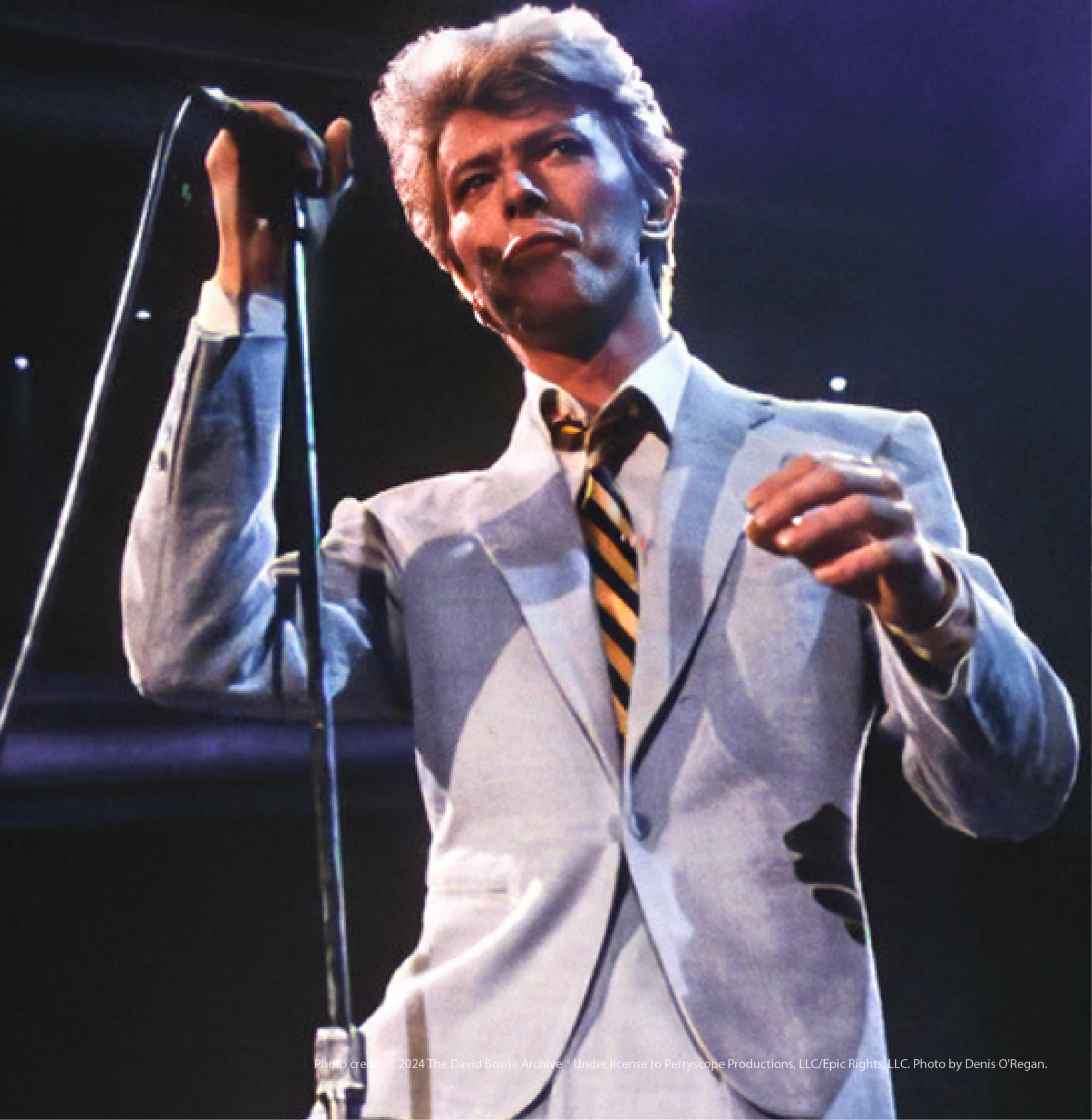 David Bowie - Roots of Fight