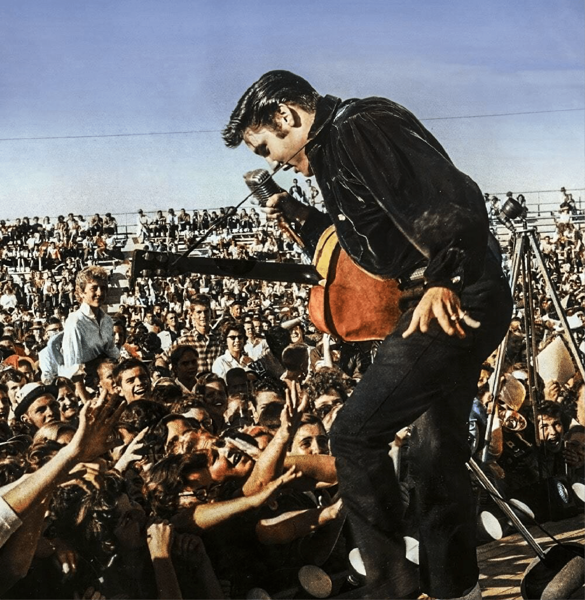 Elvis - Roots of Fight